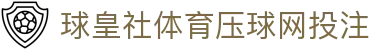球皇社积分榜查询：五大联赛排名、赛程与近期战绩